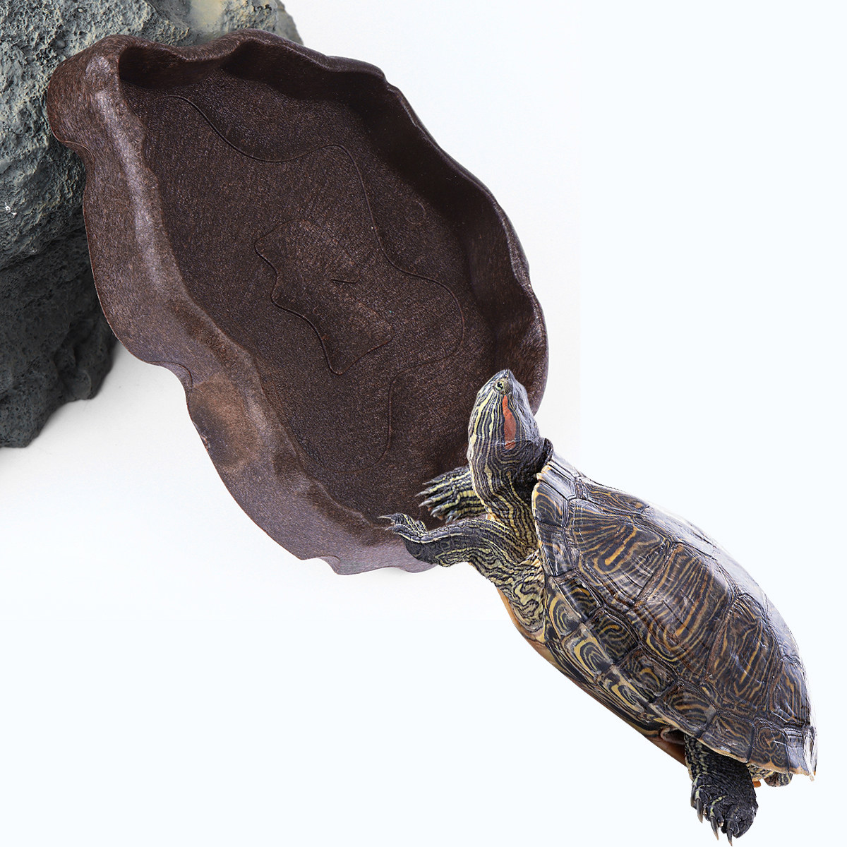 Water Dish Reptile - Ciotola in resina per rettili, misura