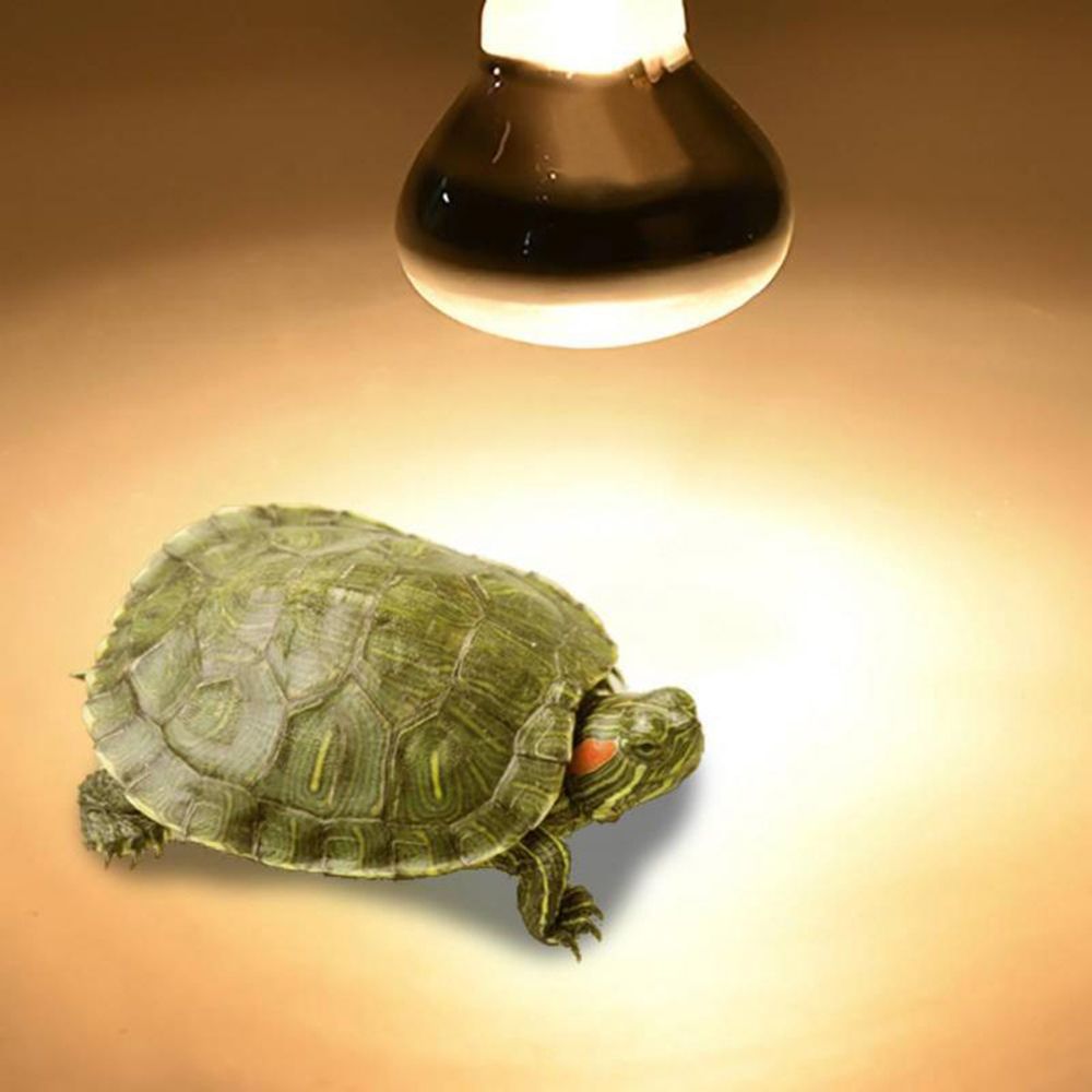 Basking Bulb Halogen - Lampada Riscaldante per Rettili, Luce UVA,