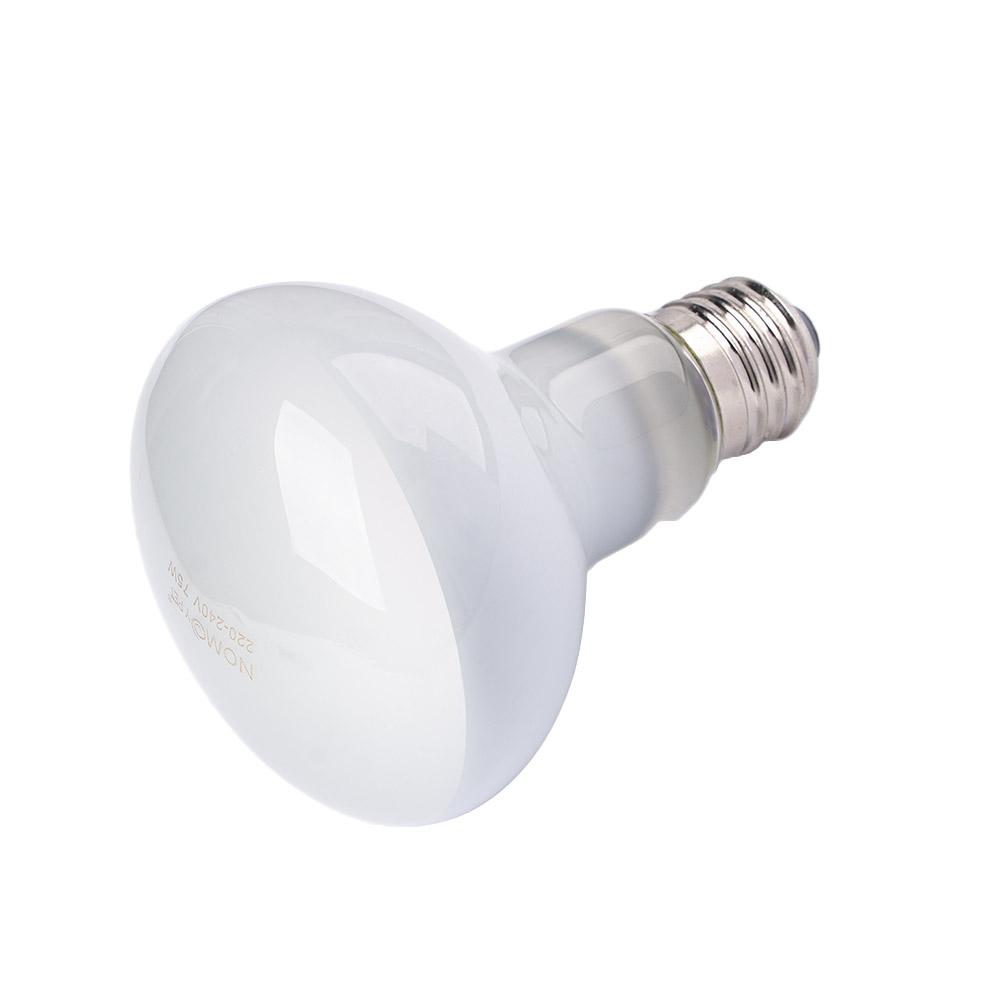 Basking Bulb Halogen - Regolatore di Temperatura per Rettili con