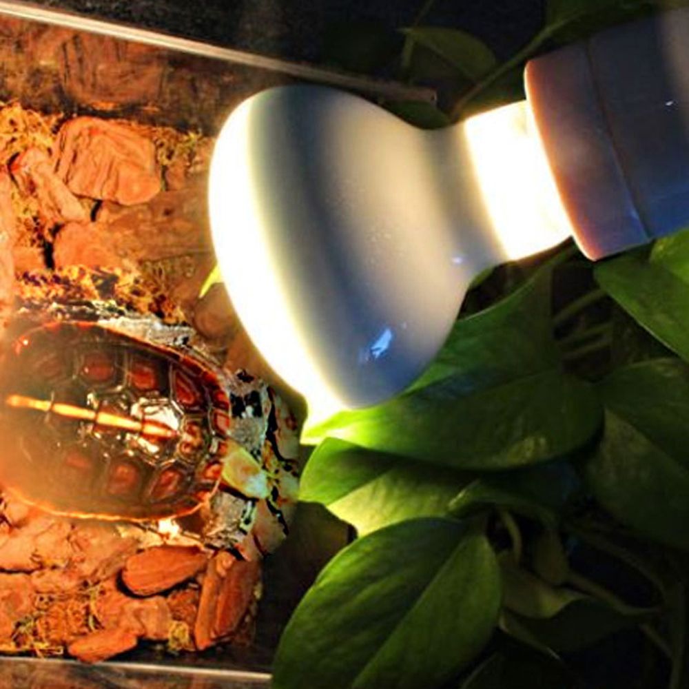 Basking Bulb Halogen - Regolatore di Temperatura per Rettili, Lampada