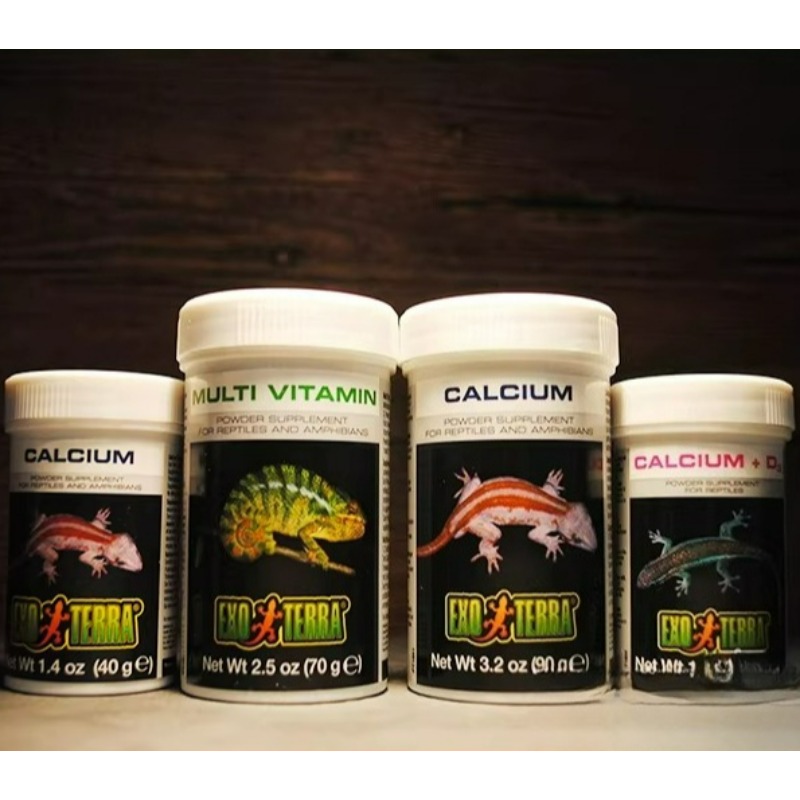 Vitamin D3 Reptile - HAGEN Polvere di Calcio per Rettili