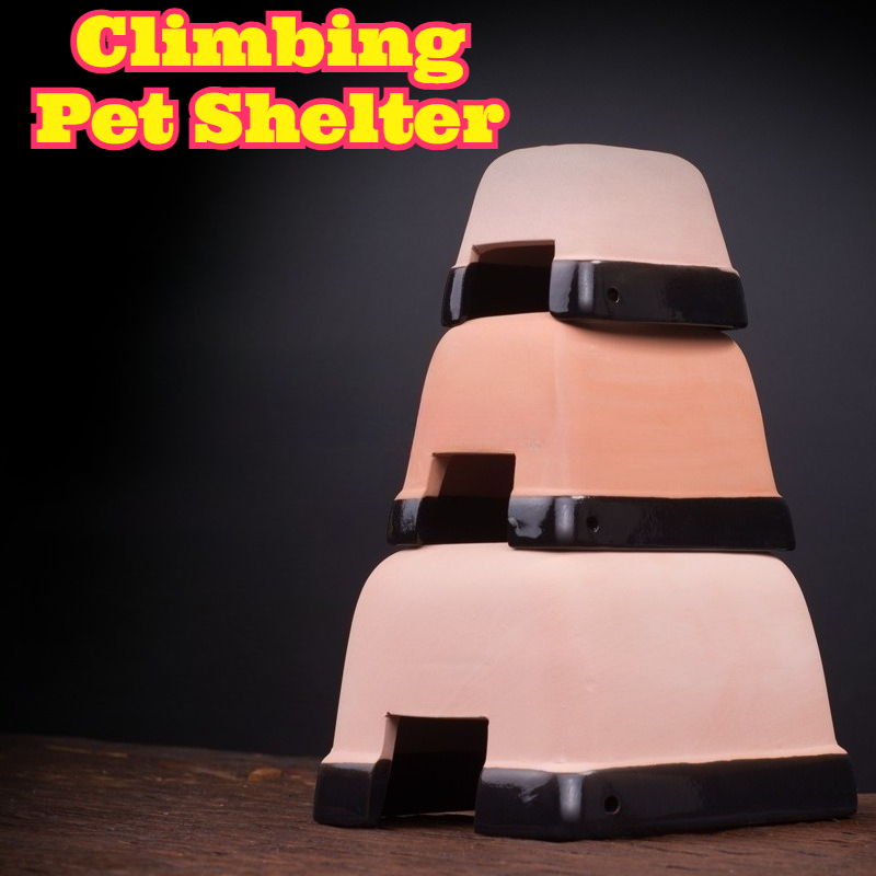 Hide Cave Ceramic - Casetta Umidificante in Ceramica per Rettili,