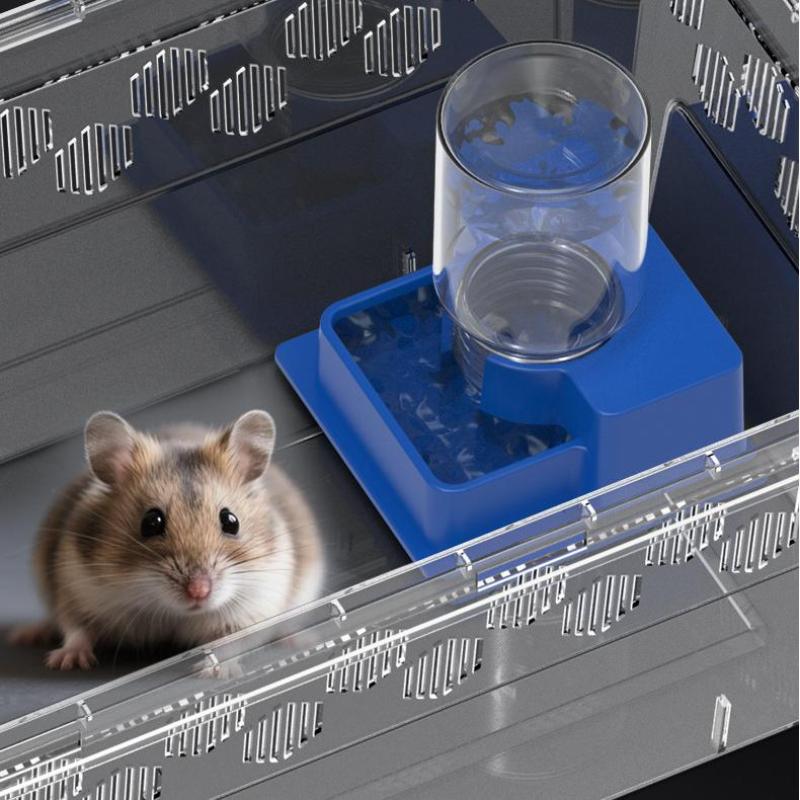 Water Dish Reptile - (BF06) Bottiglia d'acqua automatica per rettili