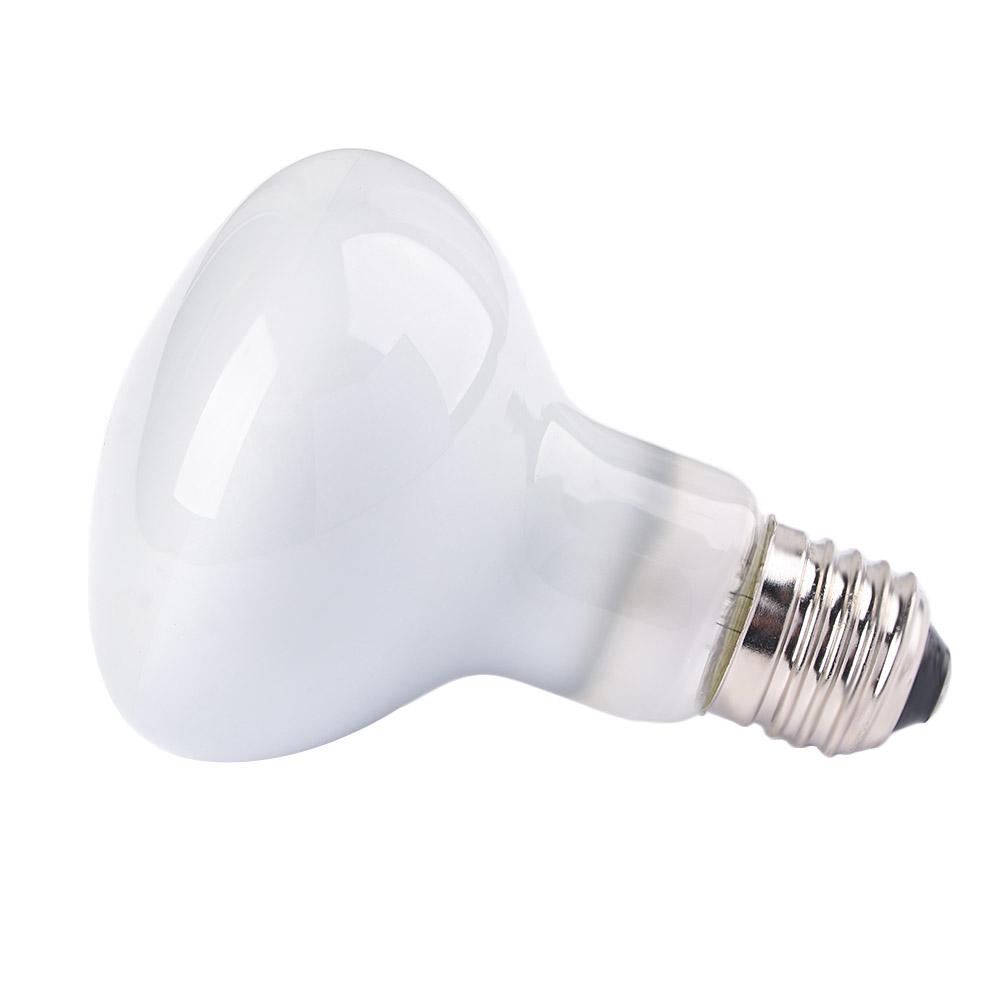 Basking Bulb Halogen - Lampada Riscaldante per Anfibi, Lampadina Alogena,