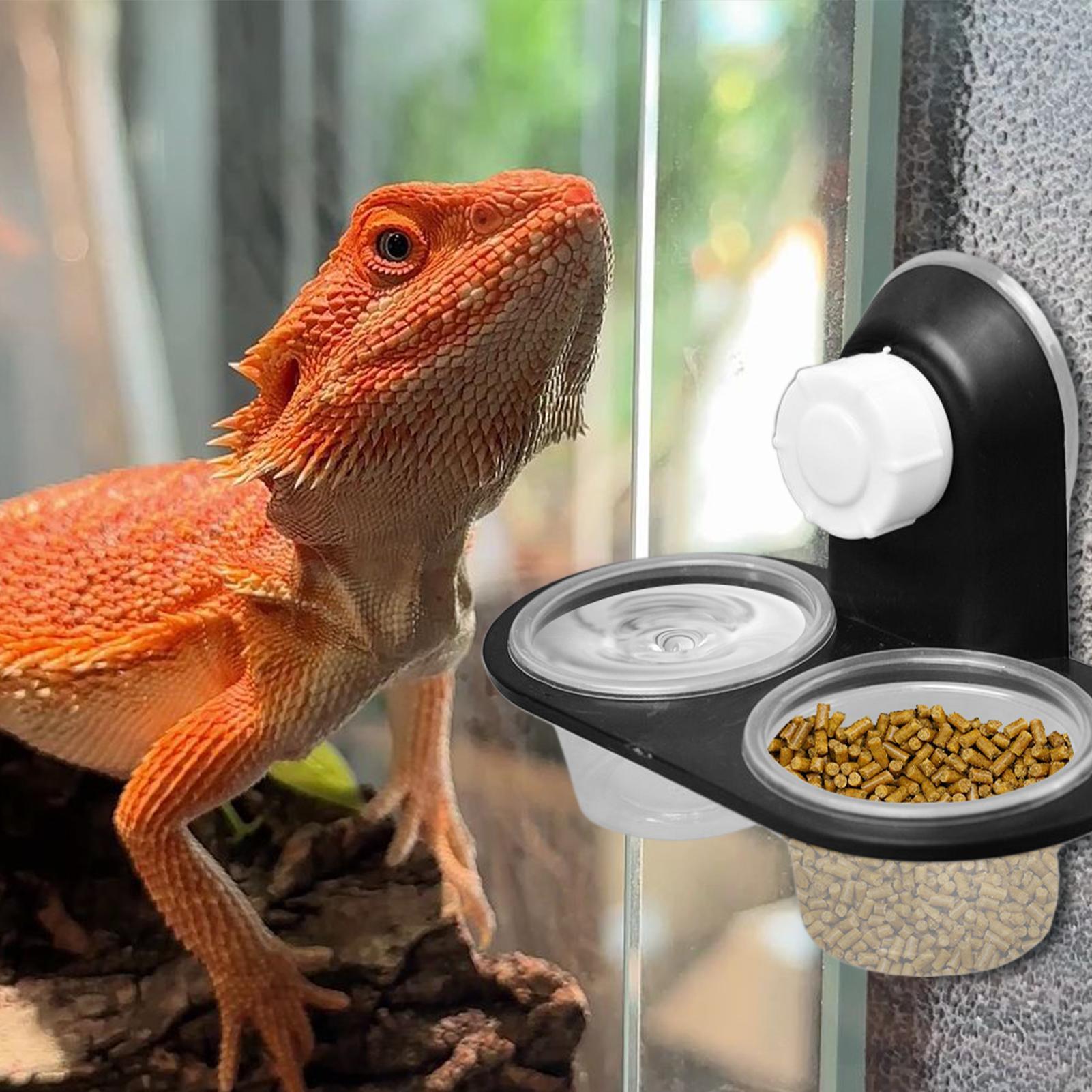 Water Dish Reptile - Ciotola per cibo e acqua per
