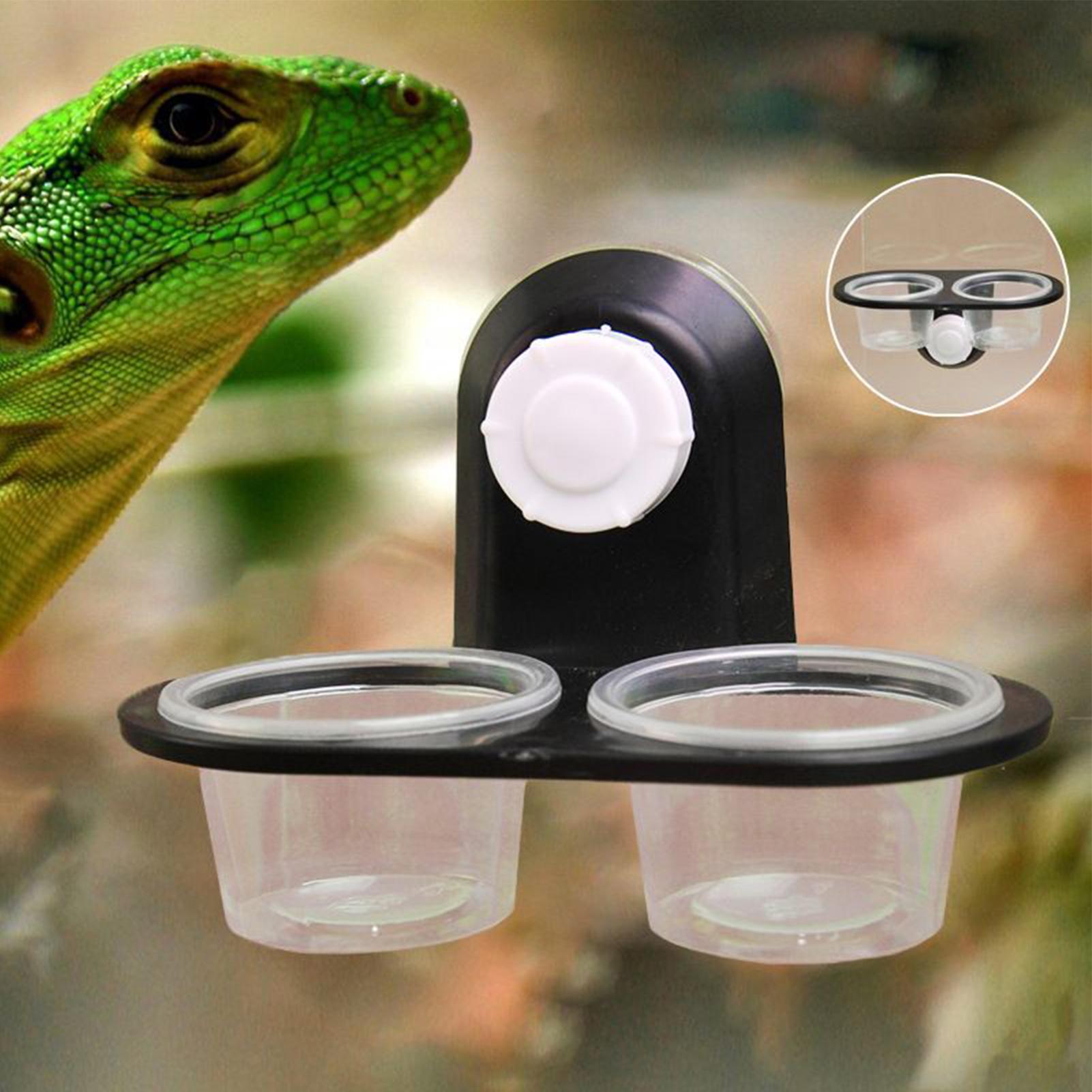 Water Dish Reptile - Ciotola per Alimenti per Gechi, Dispenser