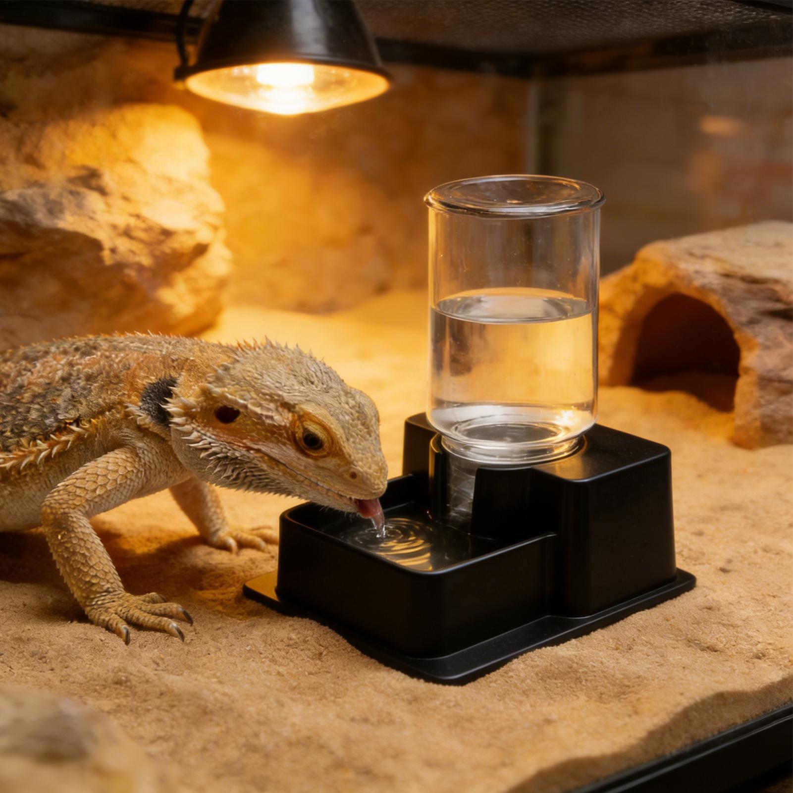 Water Dish Reptile - Fontanella per Draghi Barbuti, Ciotola Automatica