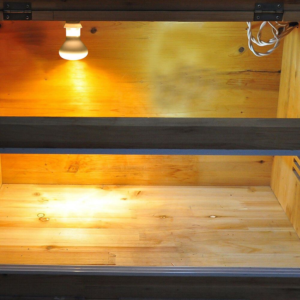 Basking Bulb Halogen - Regolatore di Temperatura per Rettili, Lampada