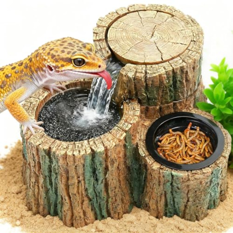 Water Dish Reptile - Fontanella per Rettili 2 in 1