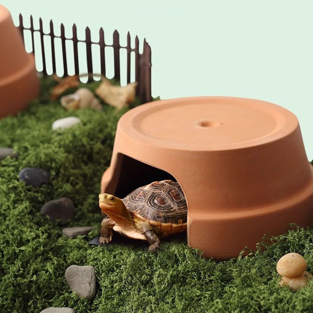 Nascondiglio Multifunzionale i - Hide Cave Ceramic recensione e prezzo