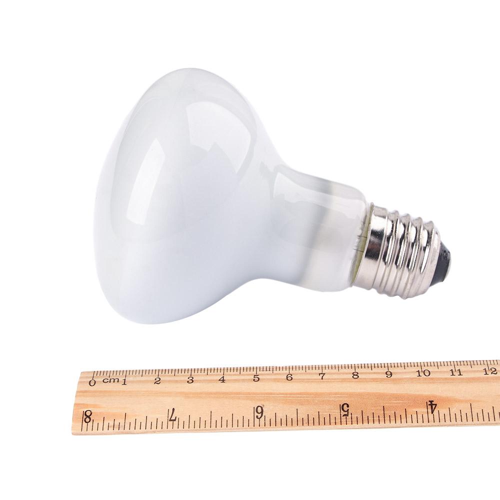 Lampada Riscaldante per Rettil - Basking Bulb Halogen recensione e prezzo