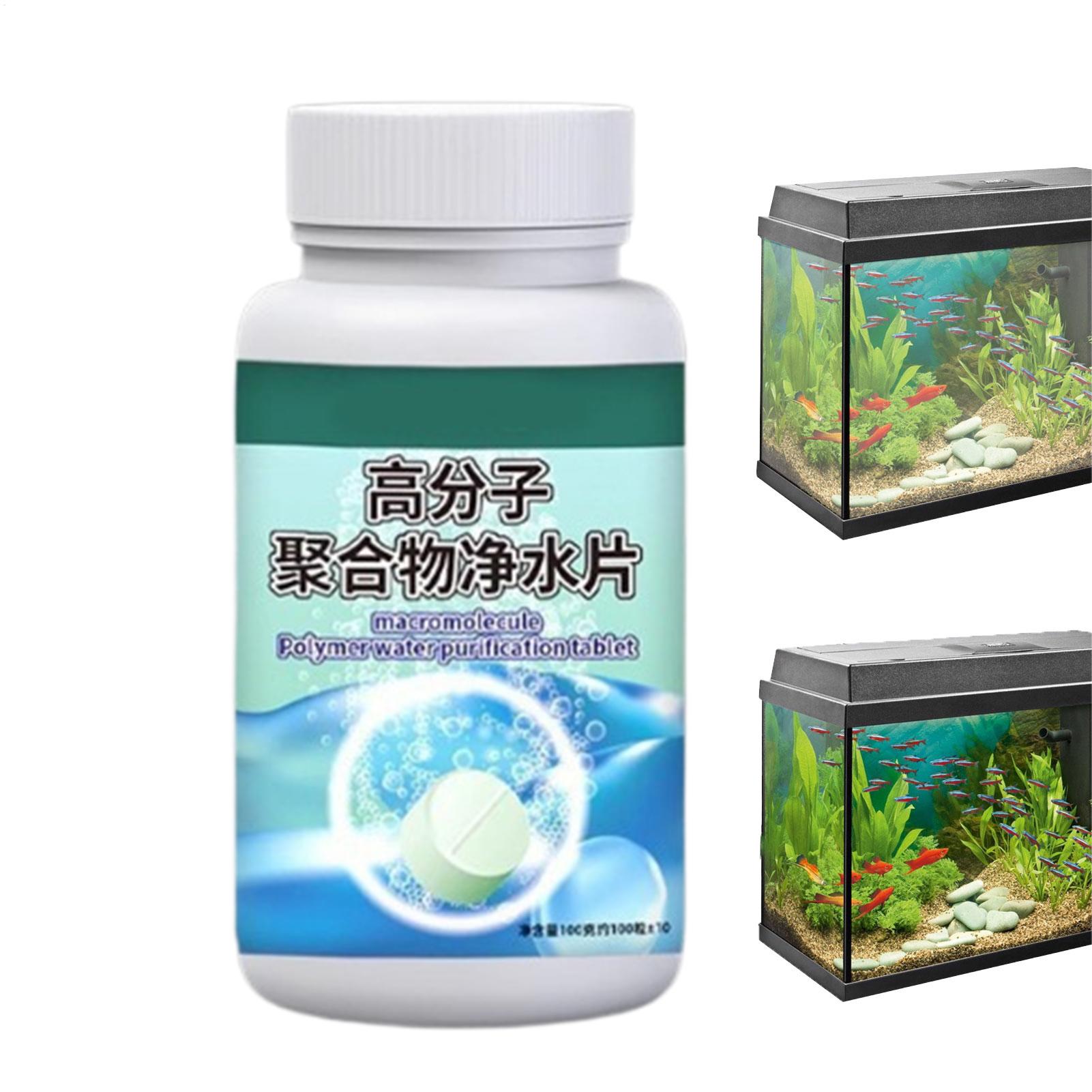 Purificatore d'acqua per acqua - Water Dish Reptile recensione e prezzo