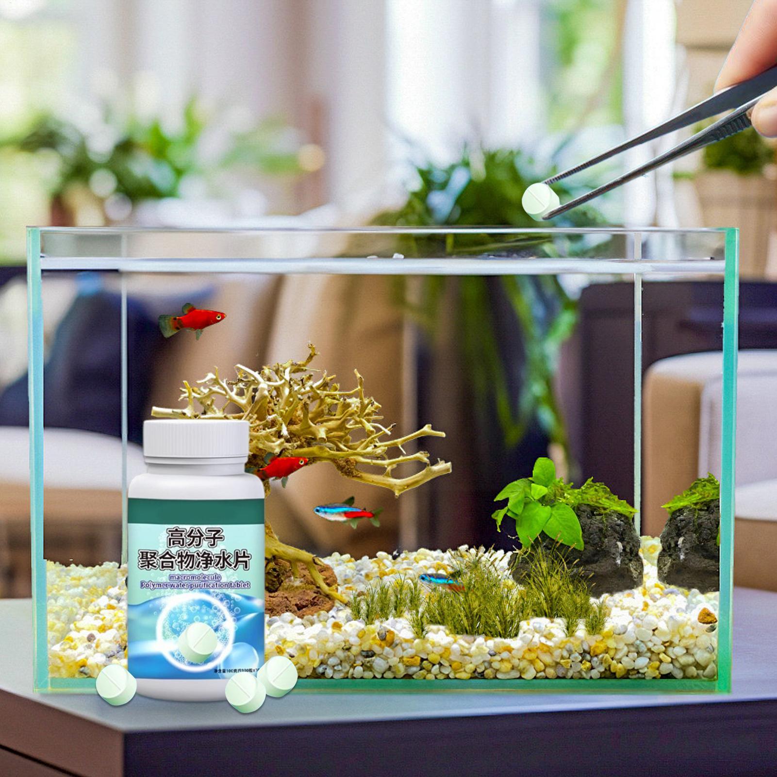 Purificatore d'acqua per acqua - Water Dish Reptile recensione e prezzo