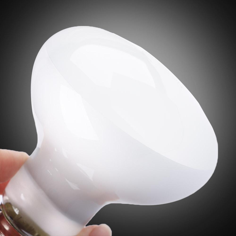 Regolatore di Temperatura per  - Basking Bulb Halogen recensione e prezzo