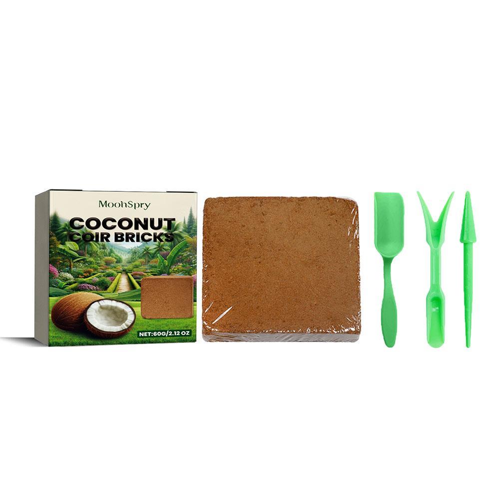 Rettile Soffione in cocco Pres - Substrate Coconut Fiber recensione e prezzo