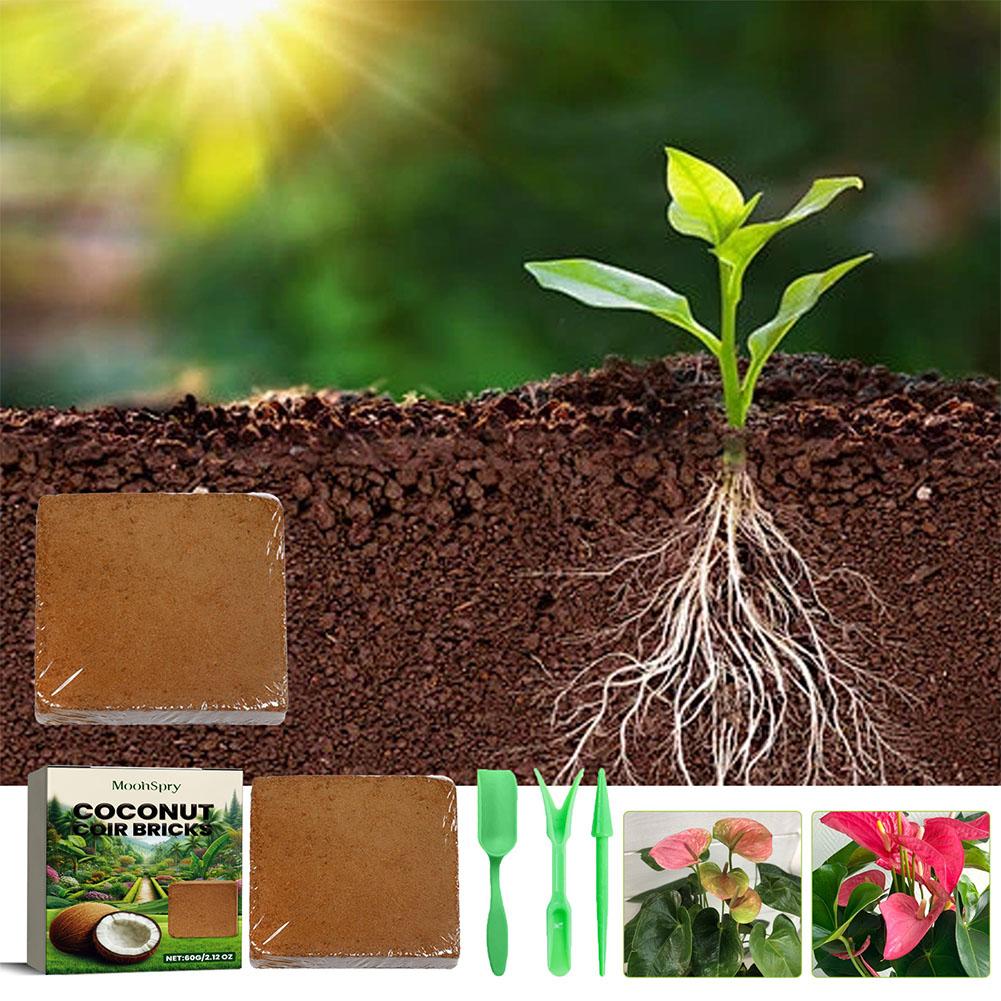Rettile Soffione in cocco Pres - Substrate Coconut Fiber recensione e prezzo