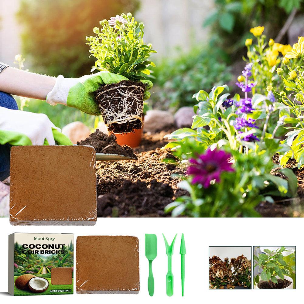 Rettile Soffione in cocco Pres - Substrate Coconut Fiber recensione e prezzo