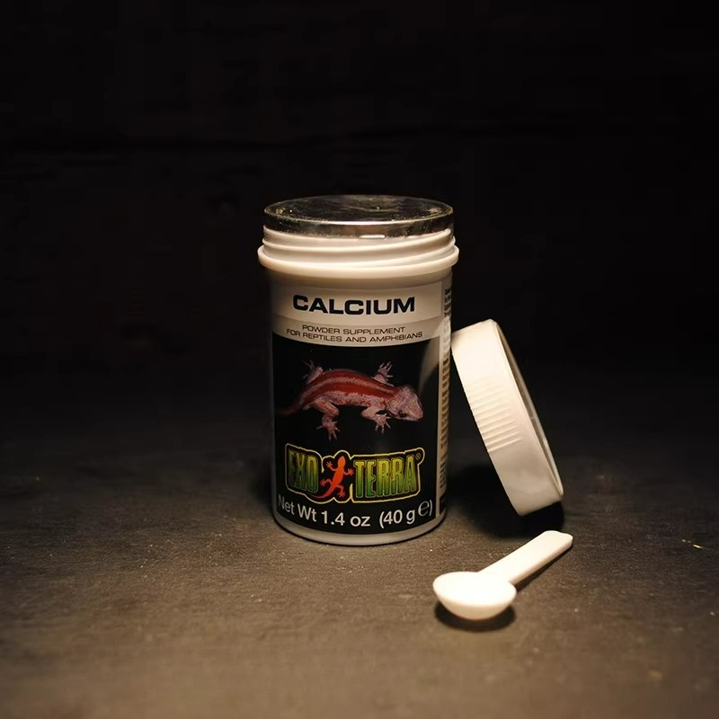 HAGEN Polvere di Calcio per Re - Vitamin D3 Reptile recensione e prezzo