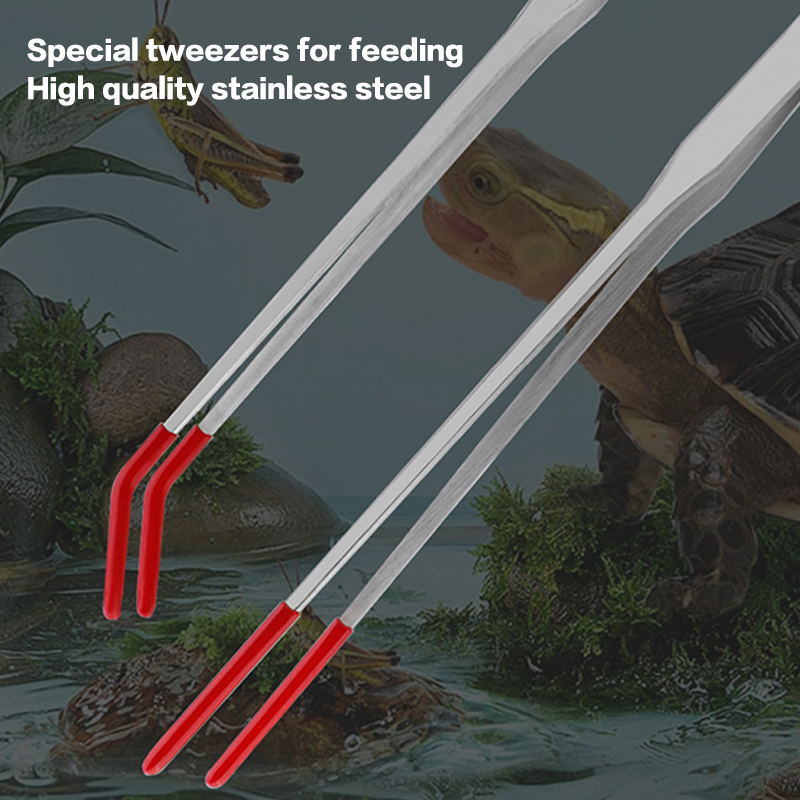 Strumenti per la Manutenzione  - Feeding Tong Stainless recensione e prezzo