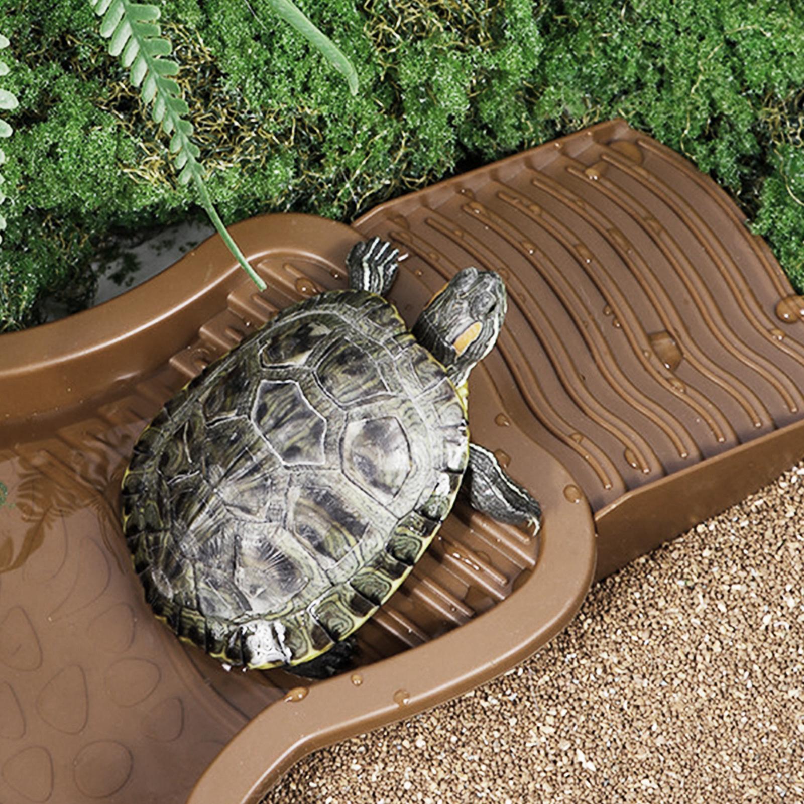 Piscina per rettili con rampa  - Water Dish Reptile recensione e prezzo
