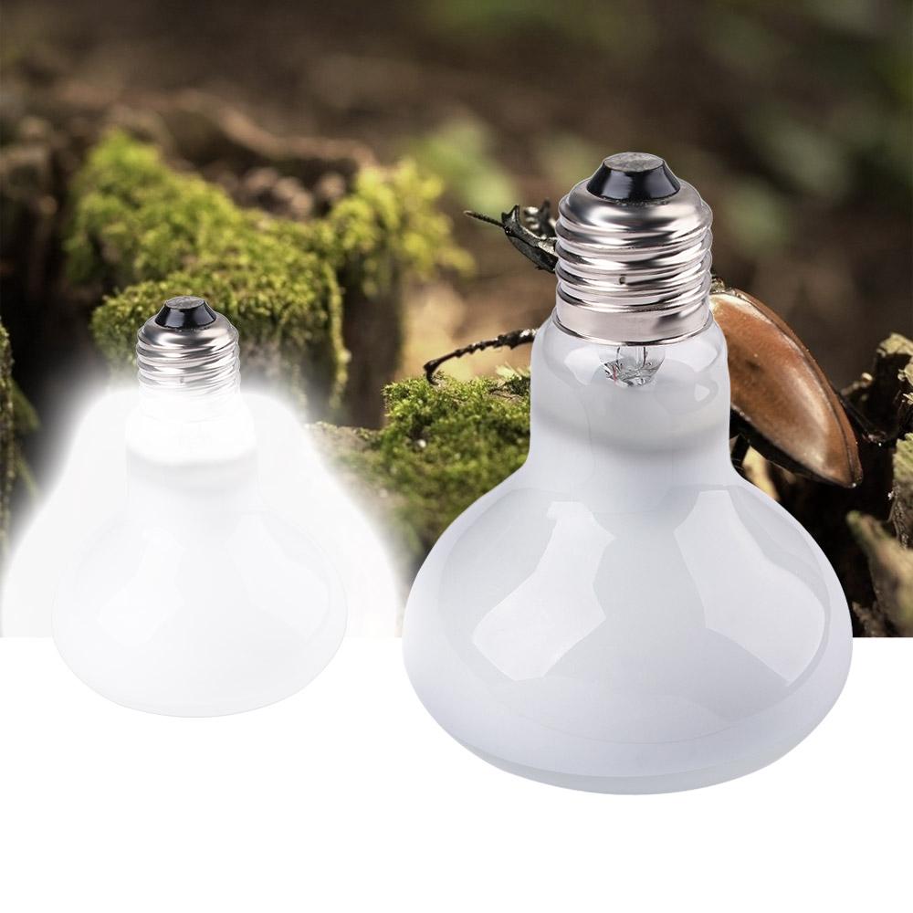 Lampada Riscaldante per Anfibi - Basking Bulb Halogen recensione e prezzo