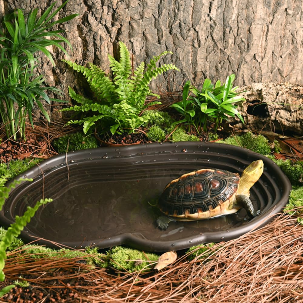 Piatto da bagno per rettili An - Water Dish Reptile recensione e prezzo