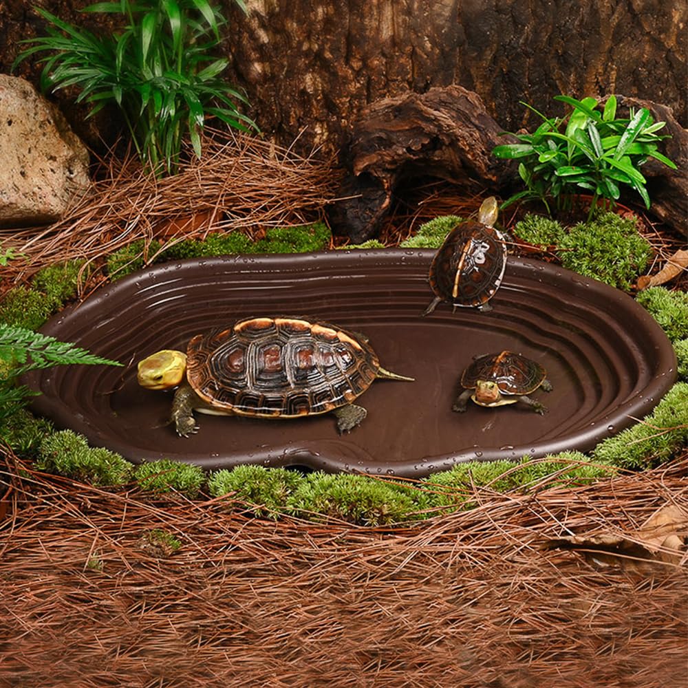 Piatto da bagno per rettili An - Water Dish Reptile recensione e prezzo