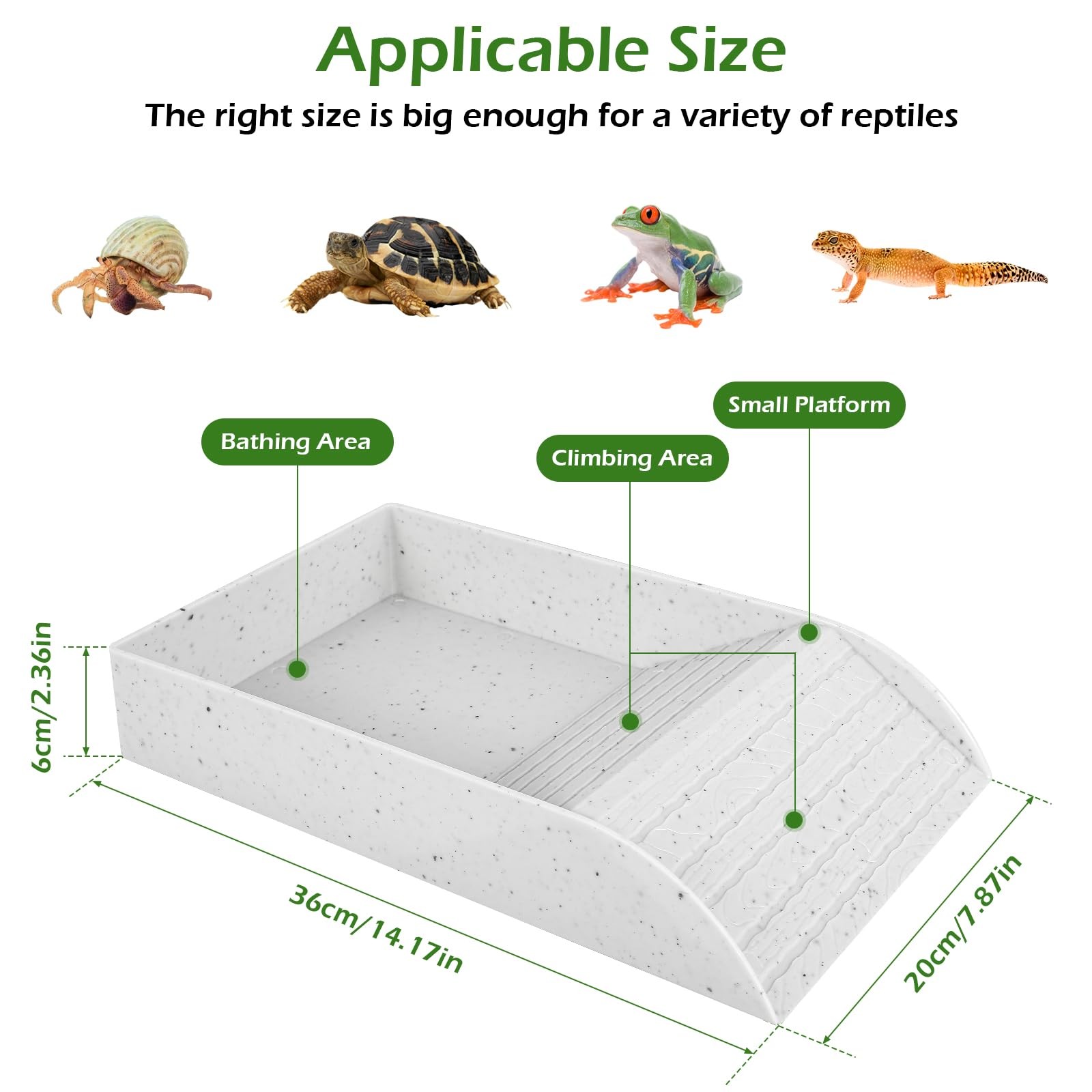 Piatto da bagno per tartaruga  - Water Dish Reptile recensione e prezzo