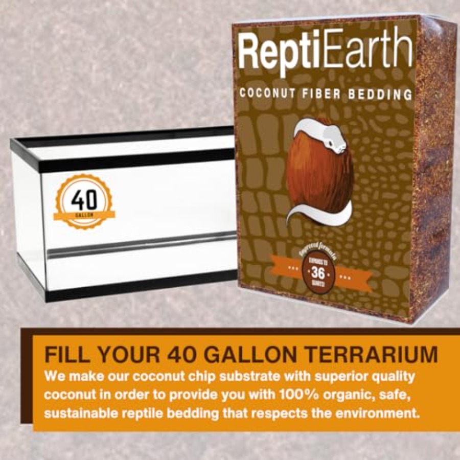 Substrato bioattivo per terrar - Substrate Coconut Fiber recensione e prezzo