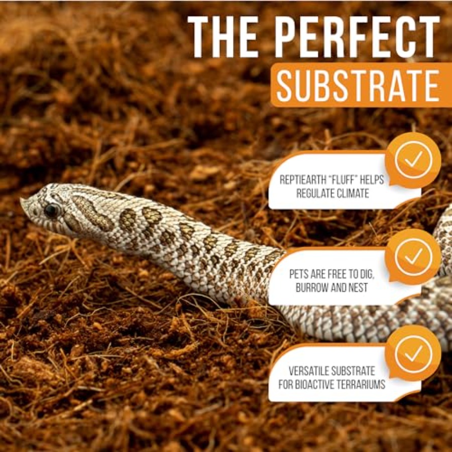 Substrato bioattivo per terrar - Substrate Coconut Fiber recensione e prezzo
