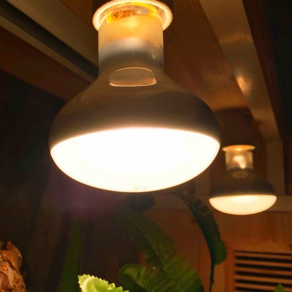 Regolatore di temperatura tart - Basking Bulb Halogen recensione e prezzo