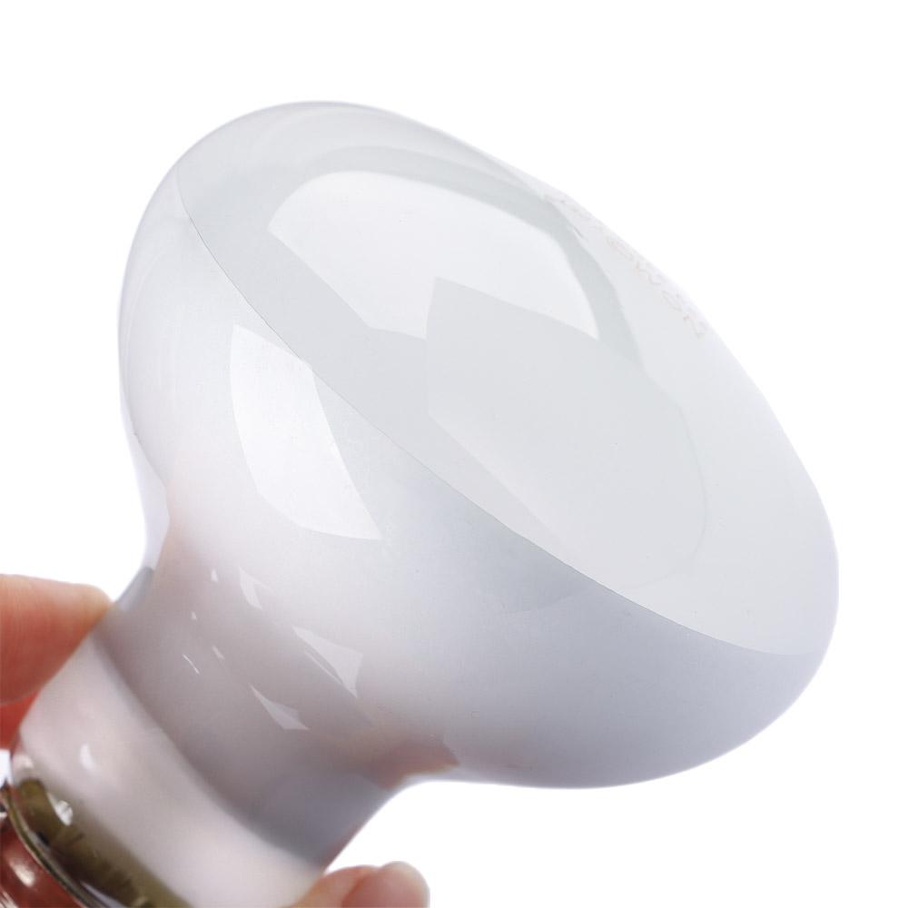 Regolatore di Temperatura per  - Basking Bulb Halogen recensione e prezzo