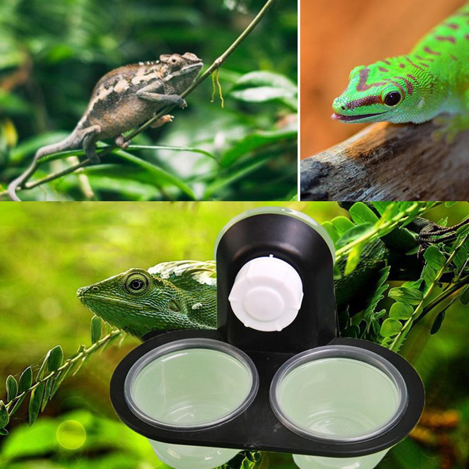Ciotola per cibo e acqua per g - Water Dish Reptile recensione e prezzo