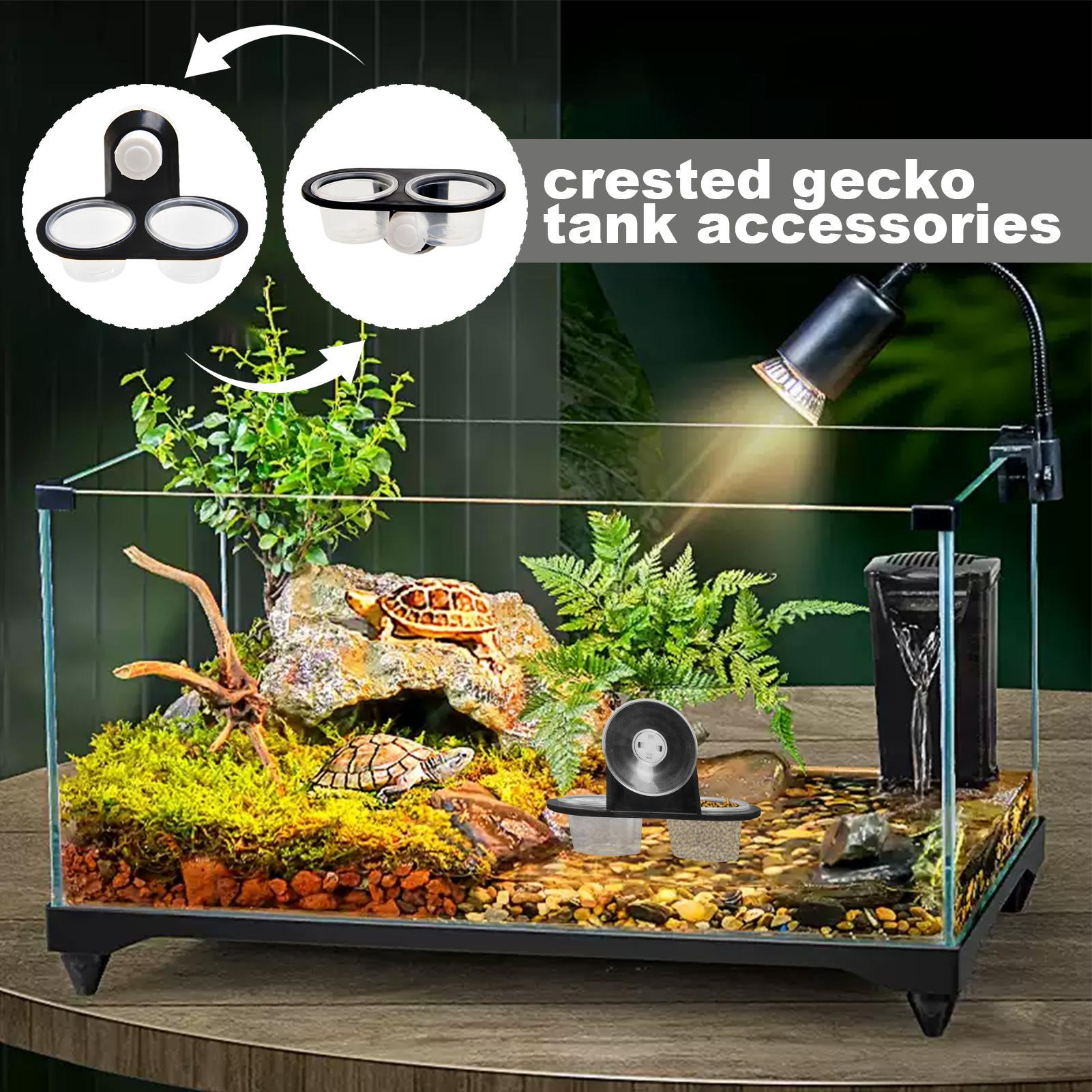 Ciotola per cibo e acqua per g - Water Dish Reptile recensione e prezzo