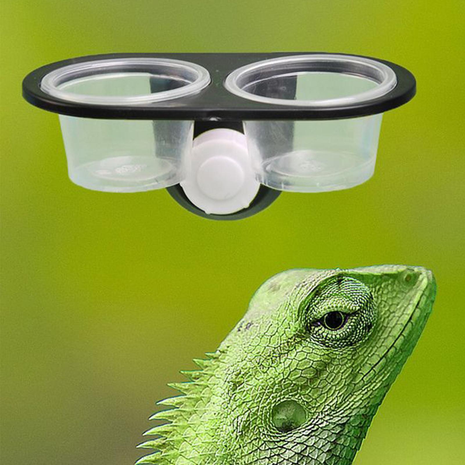 Ciotola per Alimenti per Gechi - Water Dish Reptile recensione e prezzo