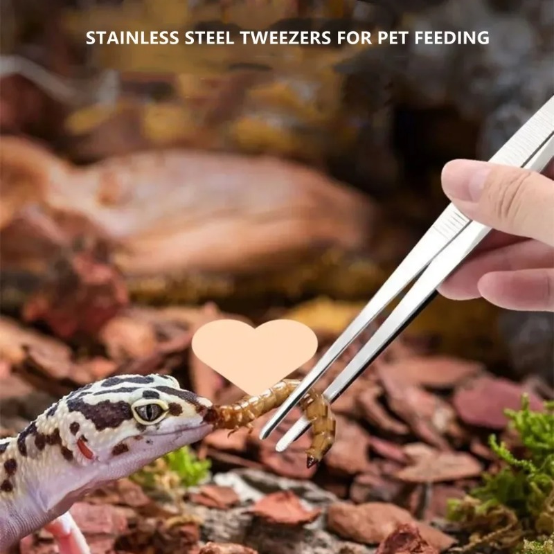 Pinzette Multifunzione in Acci - Feeding Tong Stainless recensione e prezzo