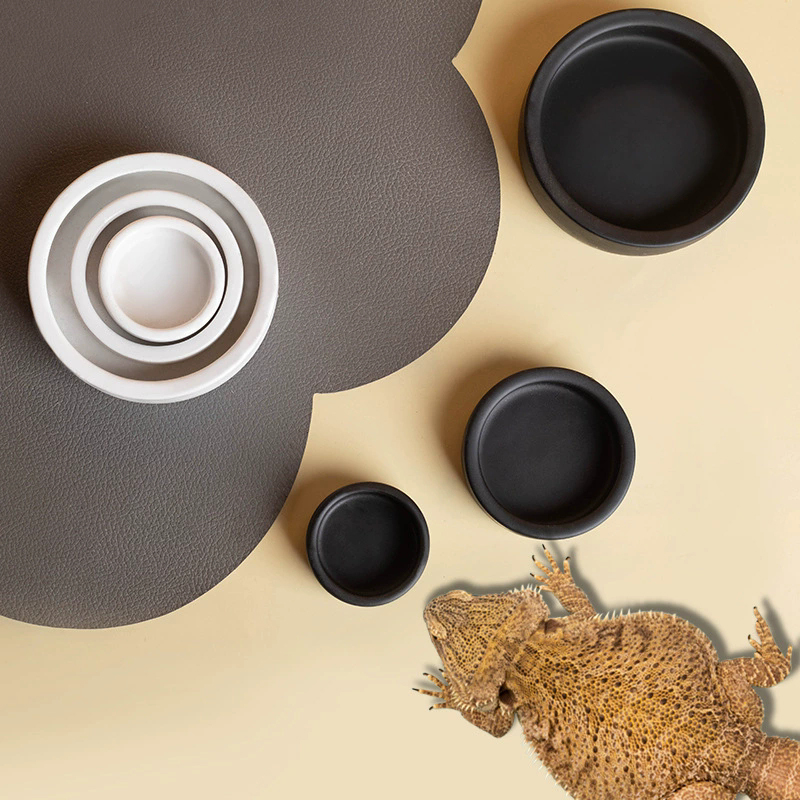 NOVITÀ! Ciotola per rettili in - Water Dish Reptile recensione e prezzo