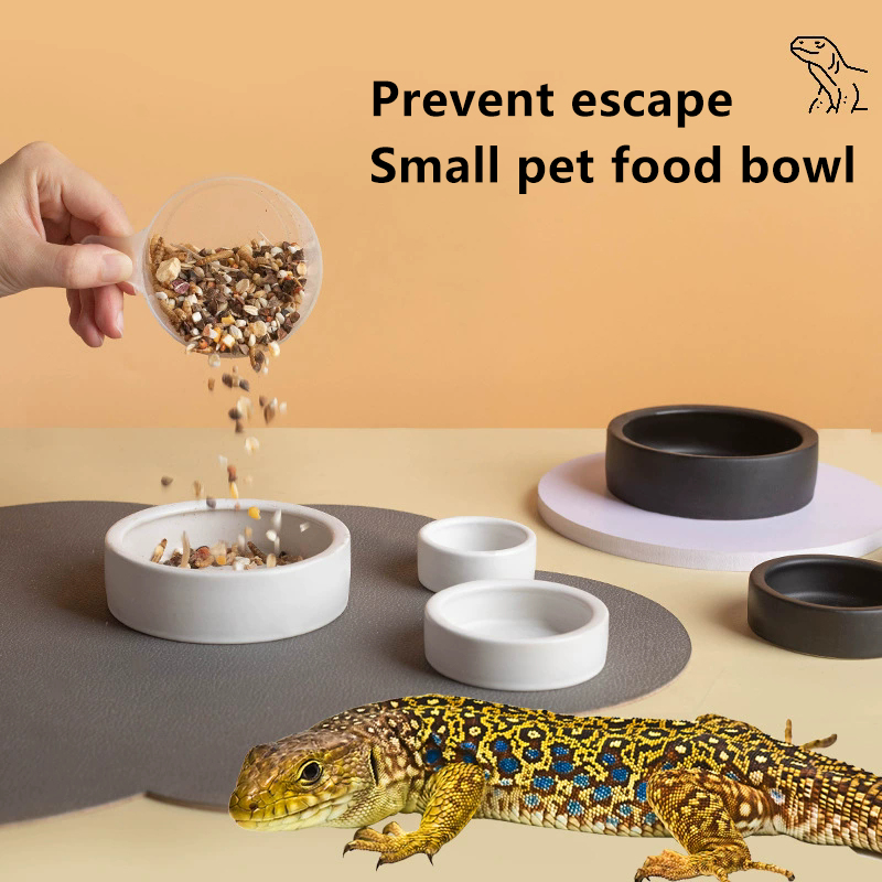 NOVITÀ! Ciotola per rettili in - Water Dish Reptile recensione e prezzo