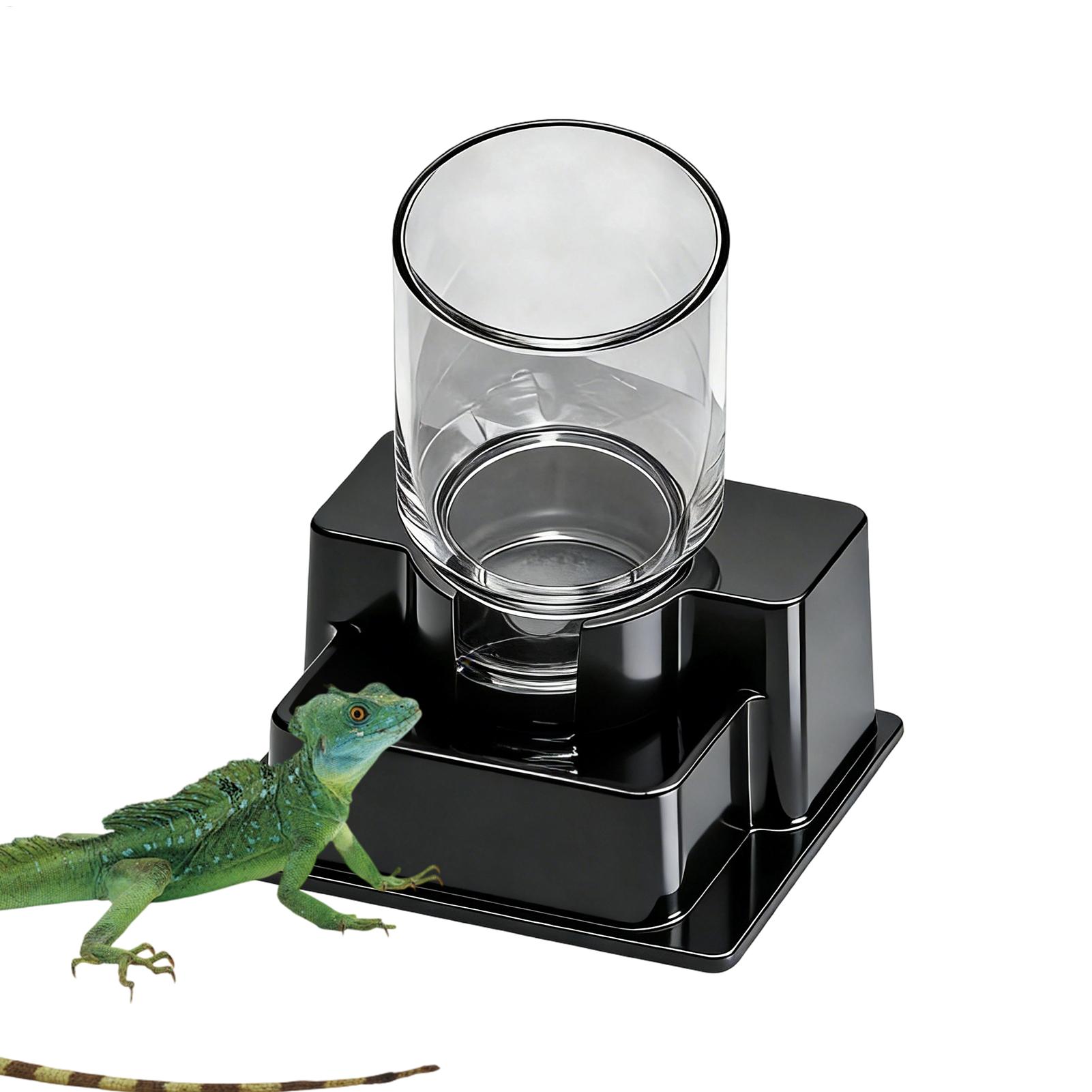 Fontanella per Draghi Barbuti, - Water Dish Reptile recensione e prezzo