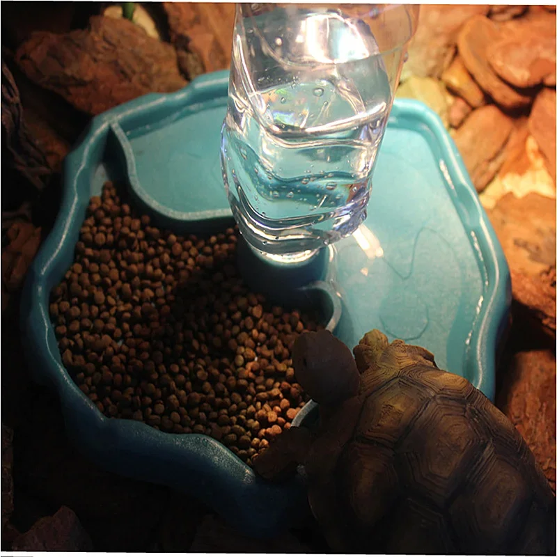 Dispenser Automatico 2 in 1 pe - Water Dish Reptile recensione e prezzo