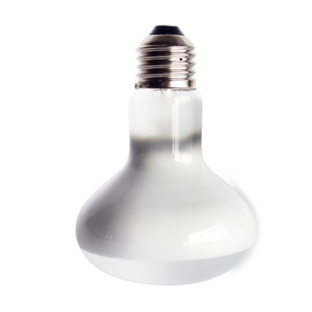 Regolatore di Temperatura per  - Basking Bulb Halogen recensione e prezzo