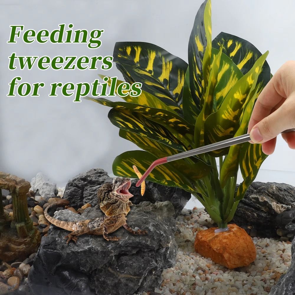 Pinzette per alimentazione acq - Feeding Tong Stainless recensione e prezzo