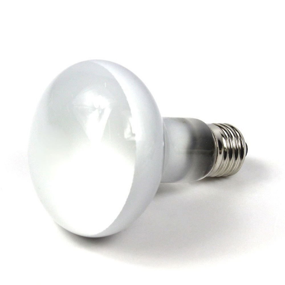 Regolatore di Temperatura per  - Basking Bulb Halogen recensione e prezzo