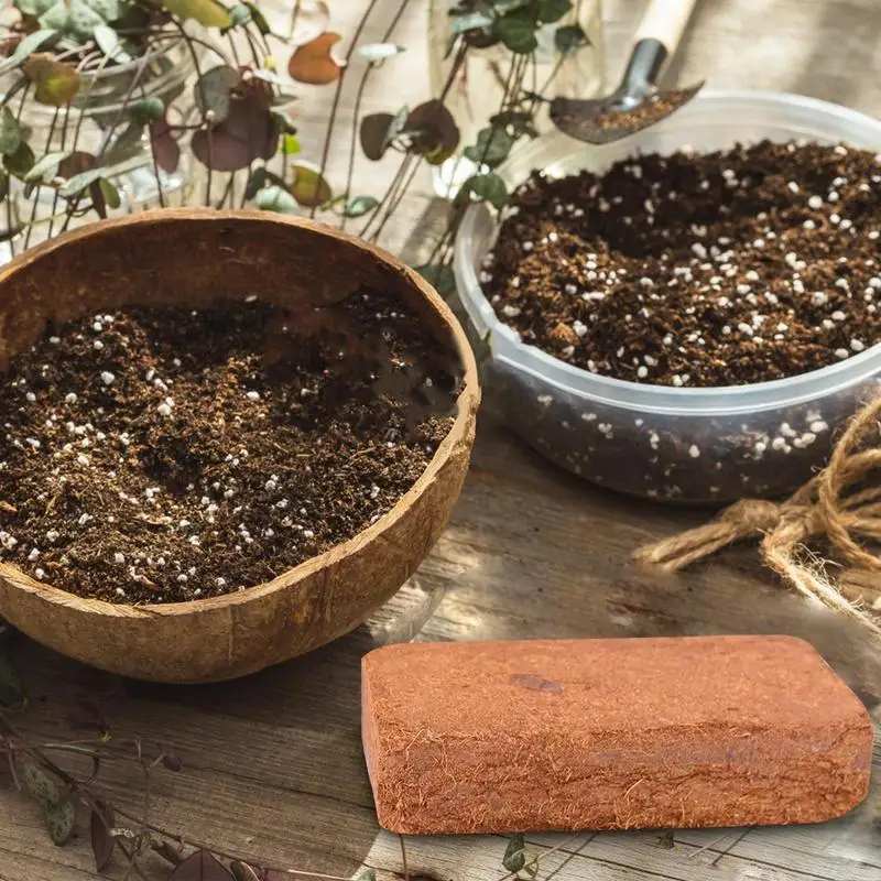 Rettile Terra di Cocco Natural - Substrate Coconut Fiber recensione e prezzo