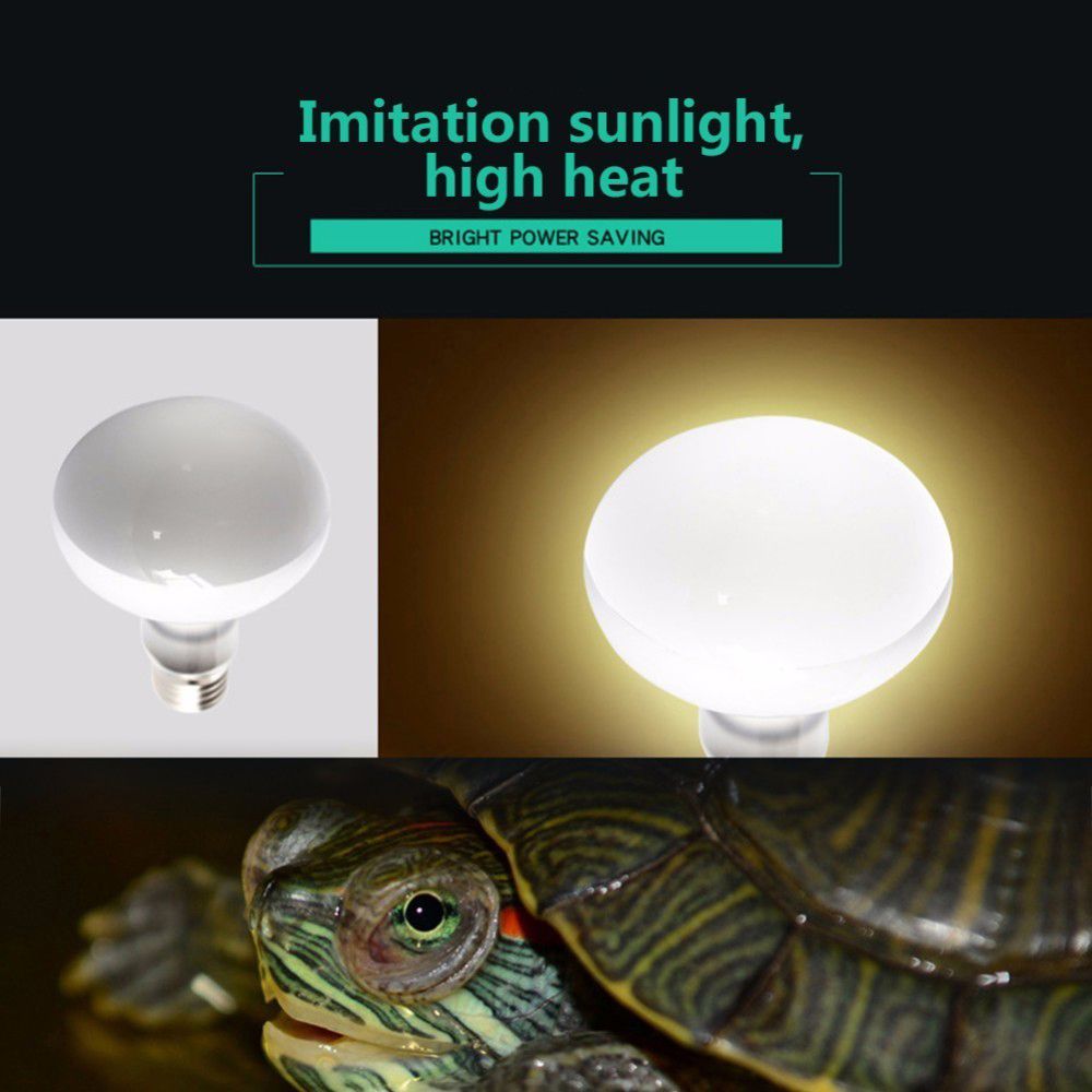 Lampada Riscaldante per Anfibi - Basking Bulb Halogen recensione e prezzo