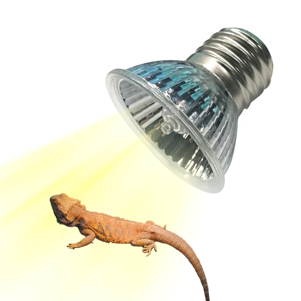 Lampada Riscaldante a Spettro  - Calcium Powder Reptile recensione e prezzo
