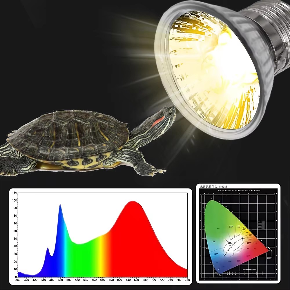 Lampada Riscaldante a Spettro  - Calcium Powder Reptile recensione e prezzo