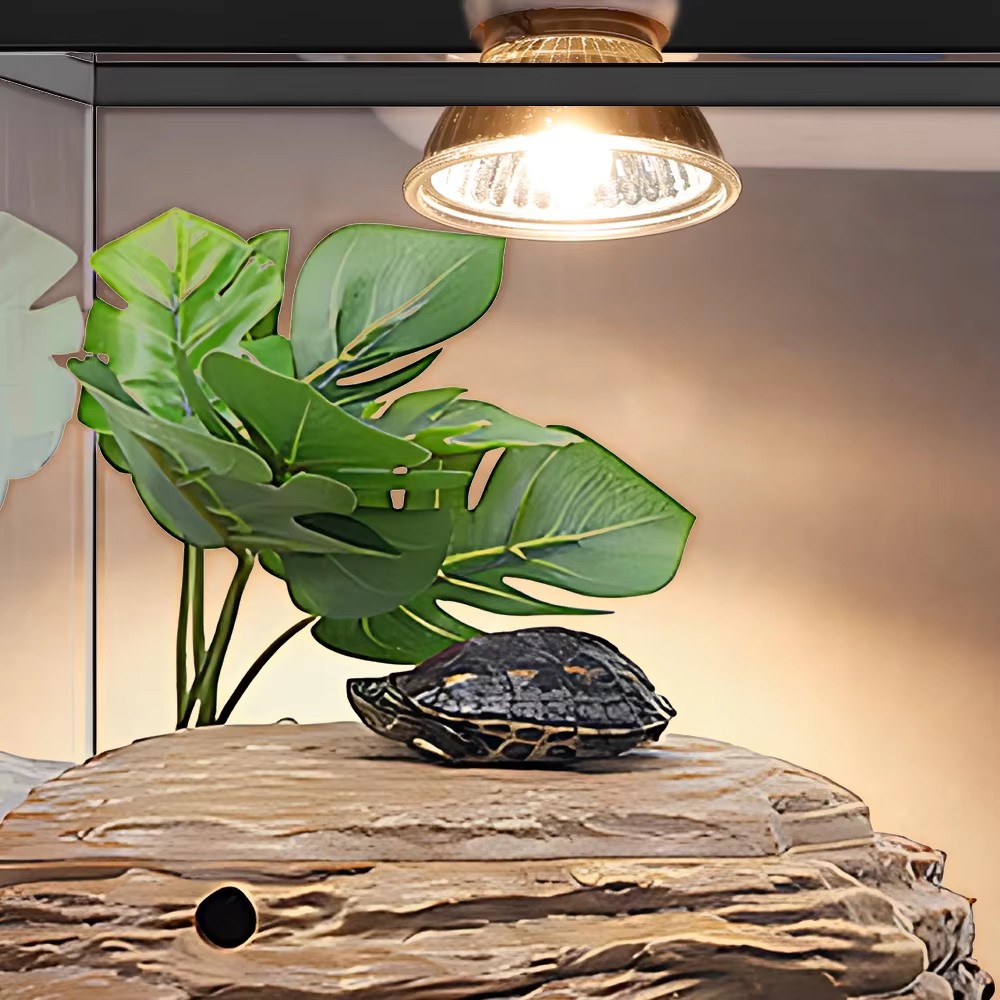 Lampada Riscaldante a Spettro  - Calcium Powder Reptile recensione e prezzo