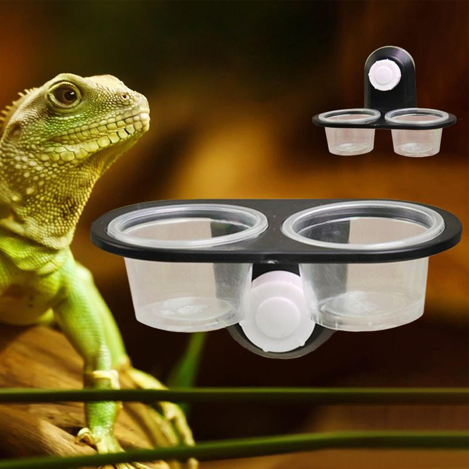 Ciotola per cibo e acqua per r - Water Dish Reptile recensione e prezzo