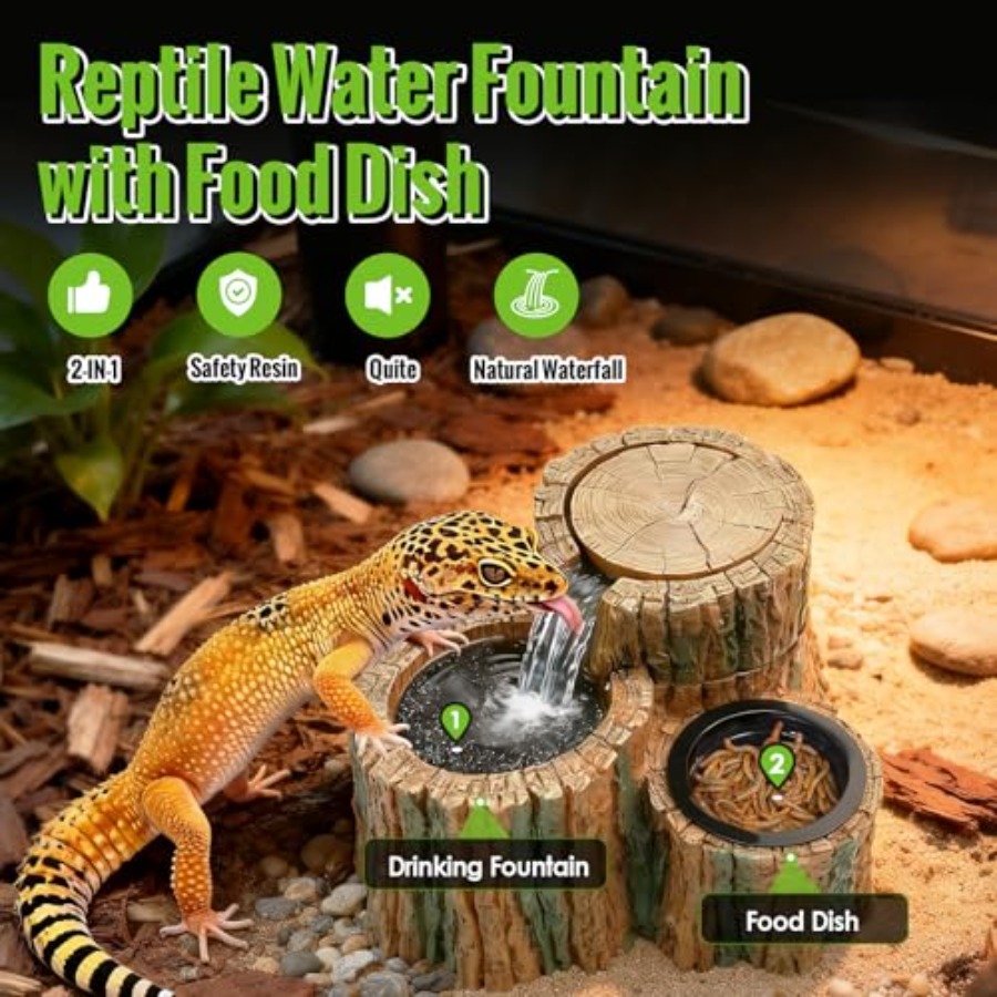 Fontanella per Rettili 2 in 1  - Water Dish Reptile recensione e prezzo